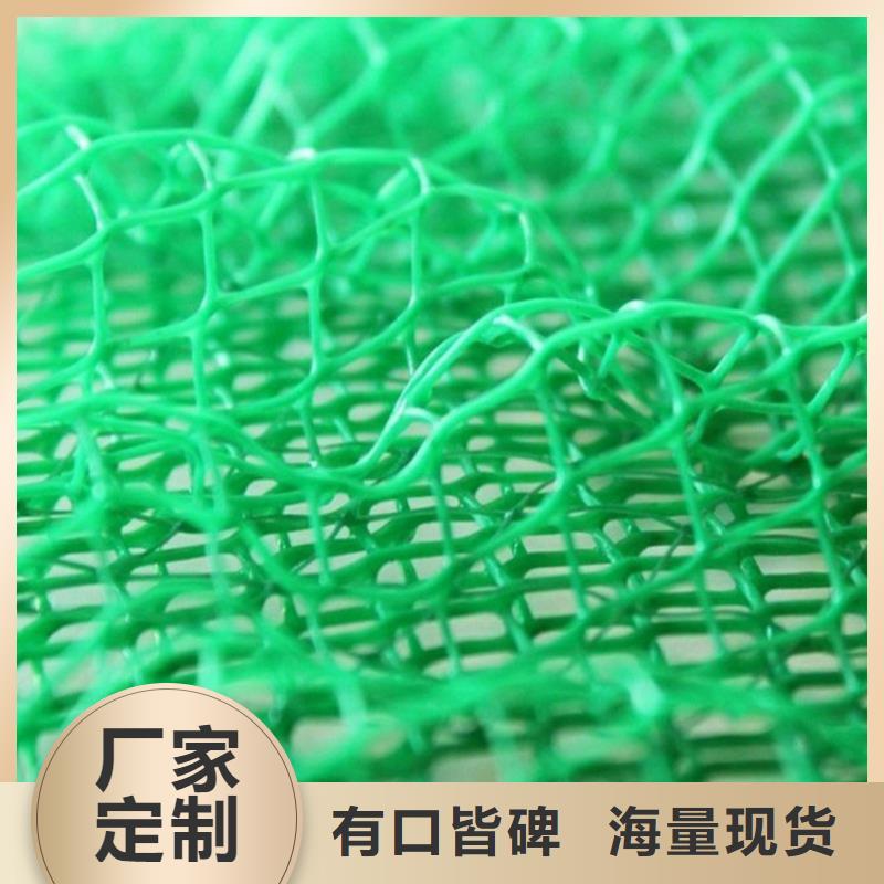 三维植被网土工格栅匠心工艺