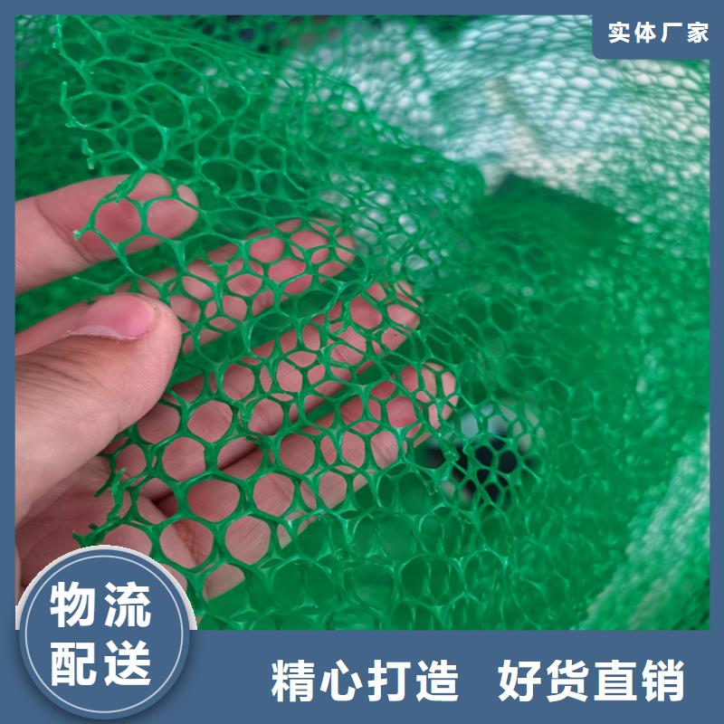 三维植被网编织布现货批发