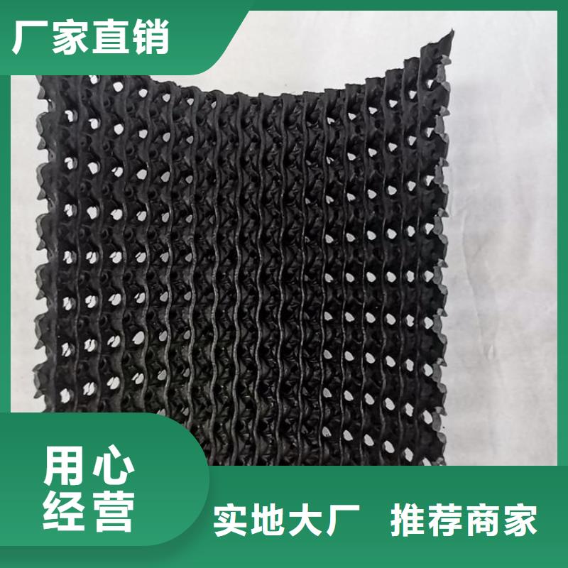 硬式透水管HDPE土工膜自营品质有保障