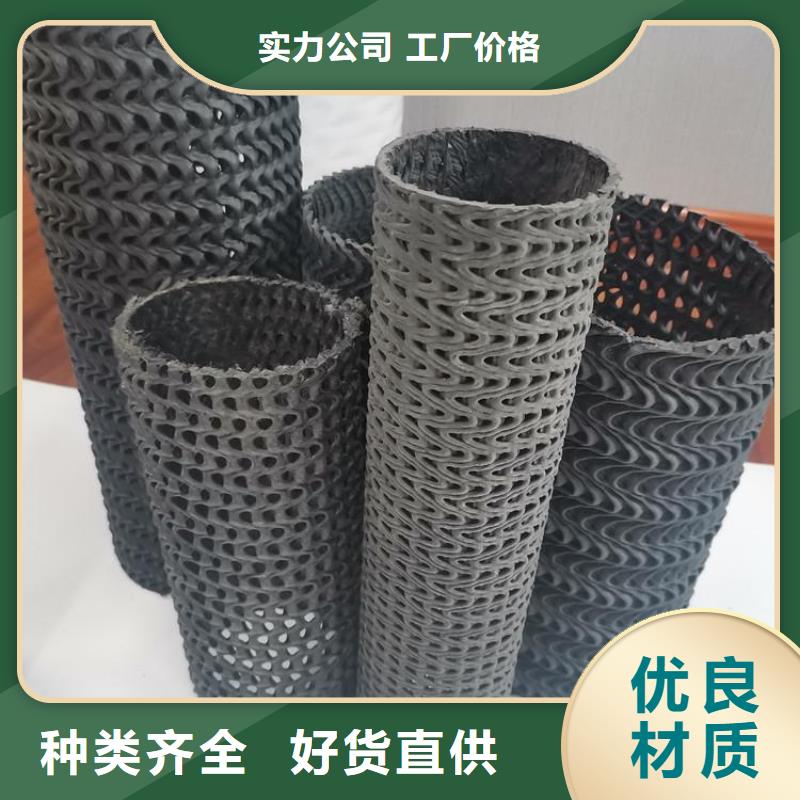 硬式透水管双向土工格栅现货交易