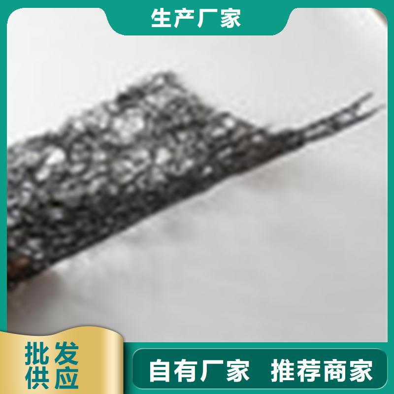 通风降噪丝网双向塑料土工格栅服务始终如一