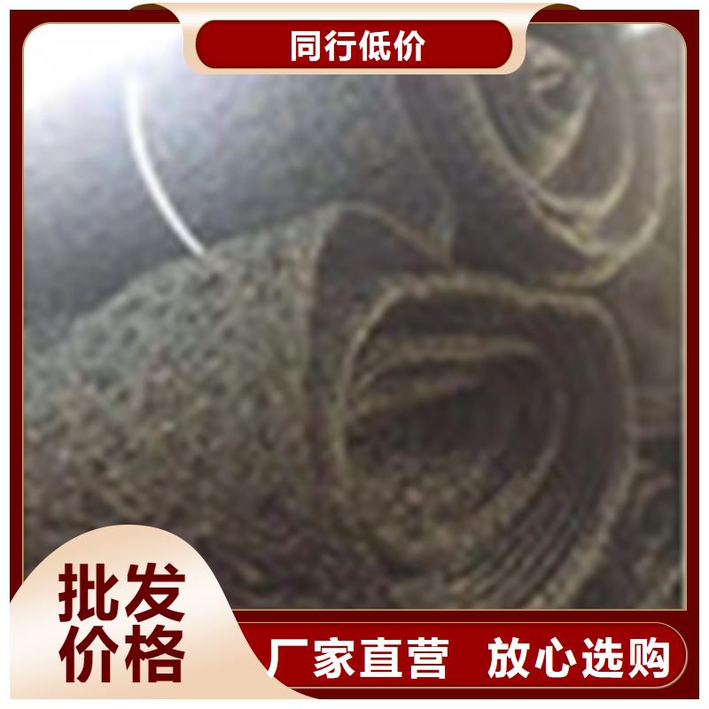 通风降噪丝网土工格栅品质值得信赖