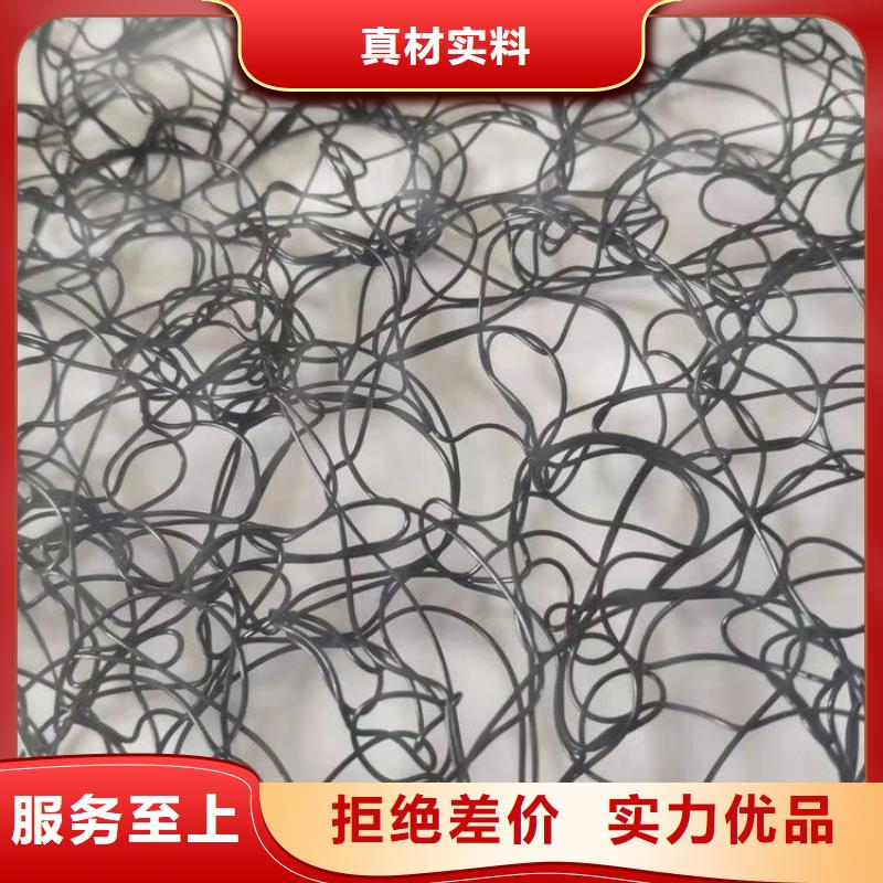 通风降噪丝网土工格栅甄选好厂家