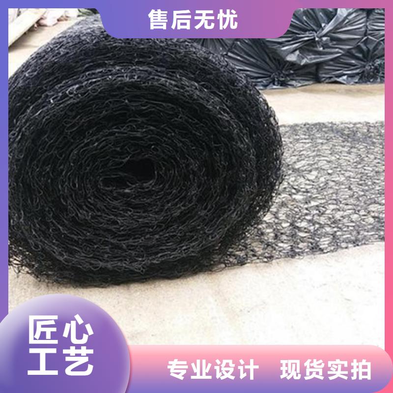 通风降噪丝网钢塑土工格栅厂家大量现货