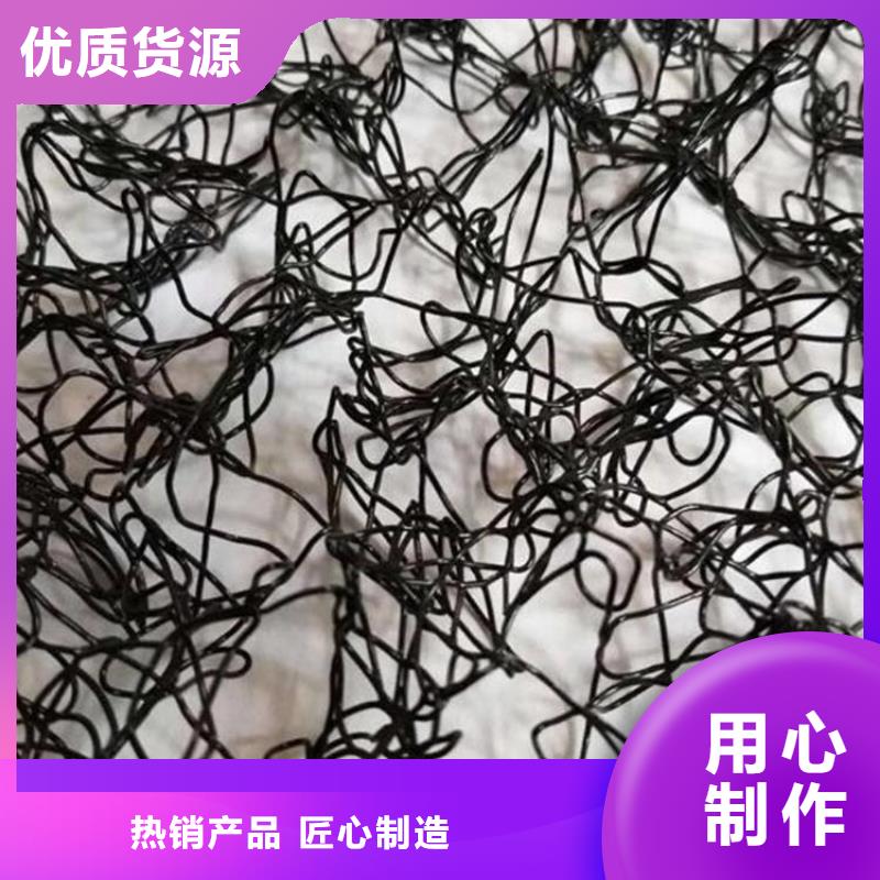 【通风降噪丝网】双向塑料土工格栅一周内发货