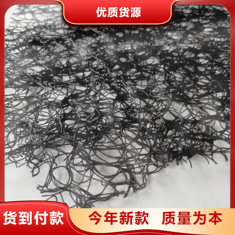 通风降噪丝网土工膜敢与同行比质量