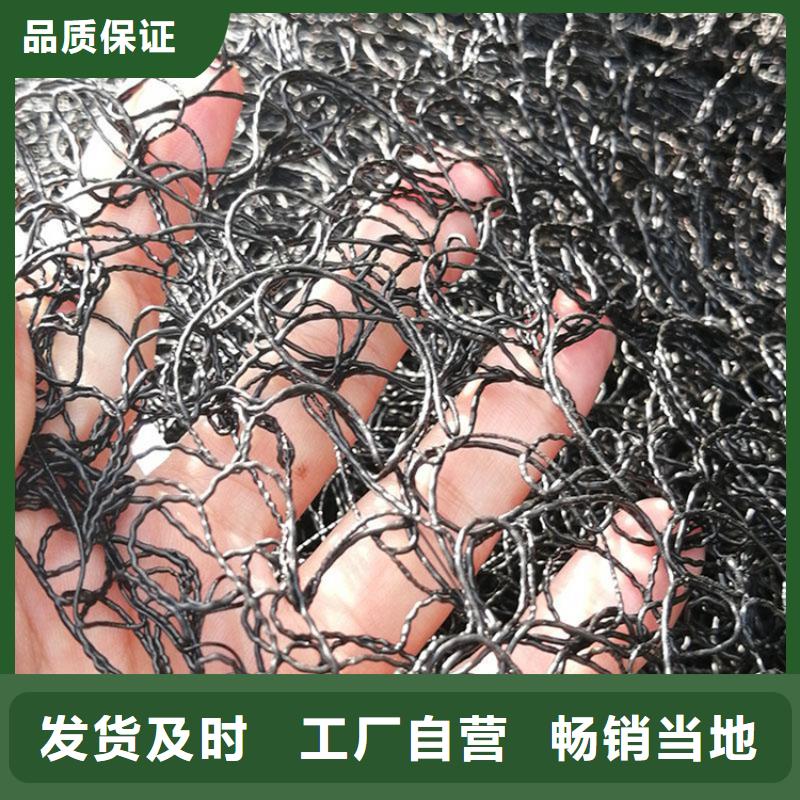 通风降噪丝网钢塑土工格栅厂家大量现货