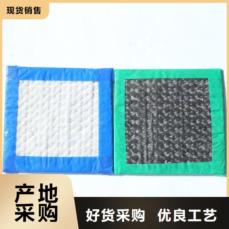 【膨润土防水毯】土工膜实力厂家直销