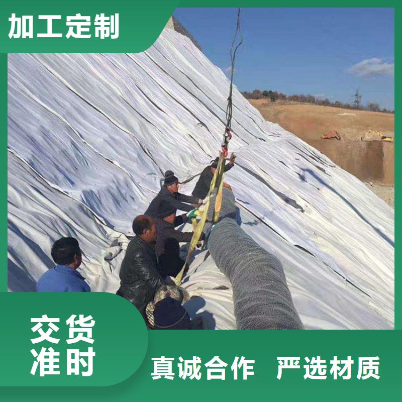 膨润土防水毯双向塑料土工格栅让利客户