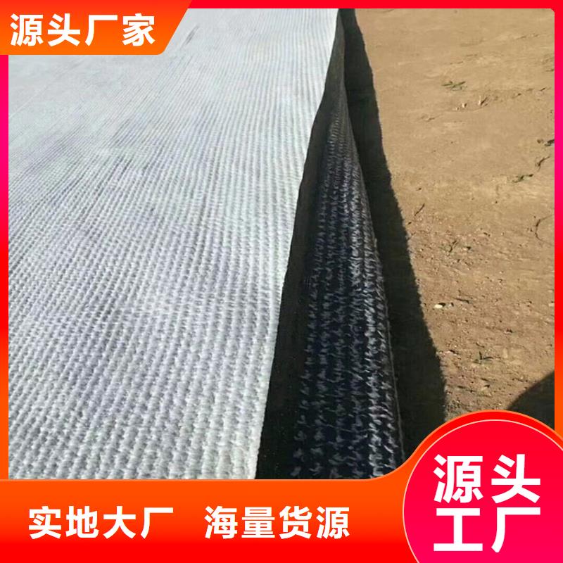 膨润土防水毯-土工膜商家直供