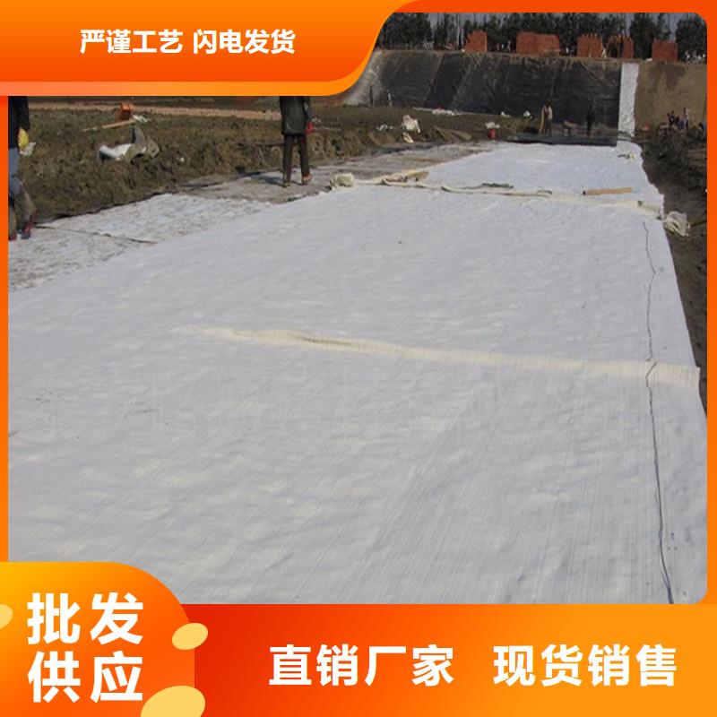 膨润土防水毯玻璃纤维土工格栅支持加工定制
