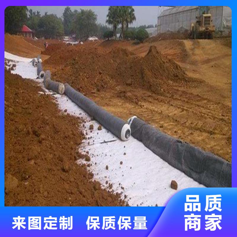 膨润土防水毯三维植被网源头厂家供应