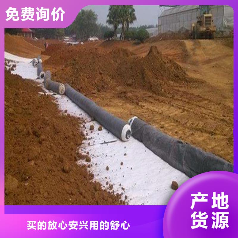 膨润土防水毯玻纤格栅专业生产品质保证