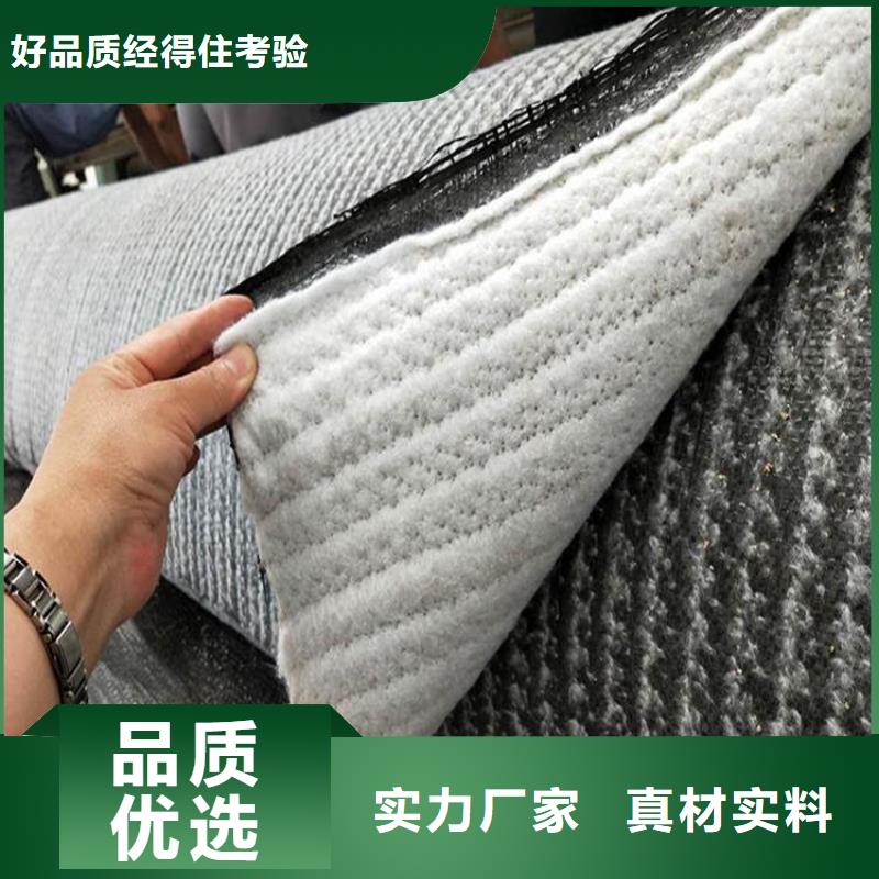 膨润土防水毯-钢塑土工格栅精益求精