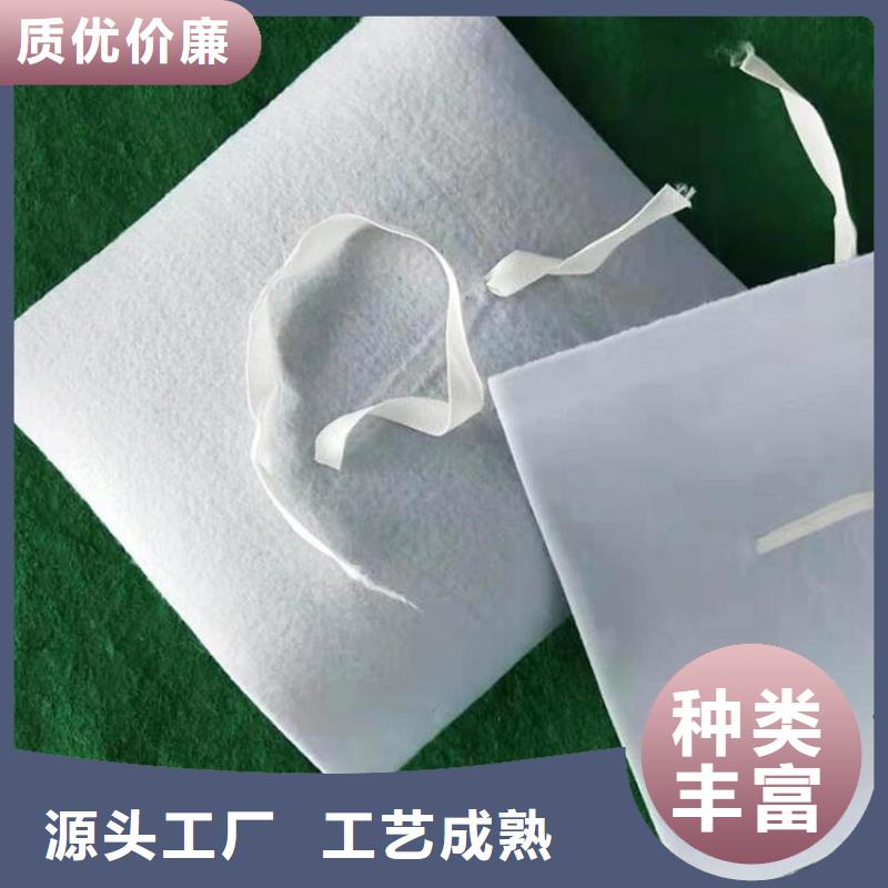 防水板【排水板】的图文介绍