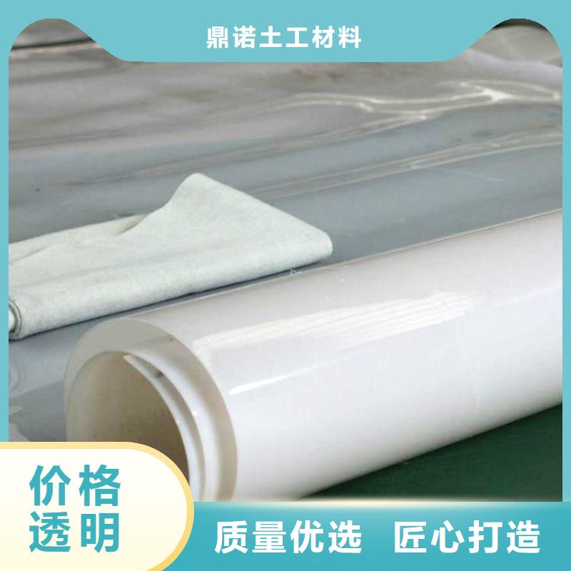 防水板双向塑料土工格栅质优价保