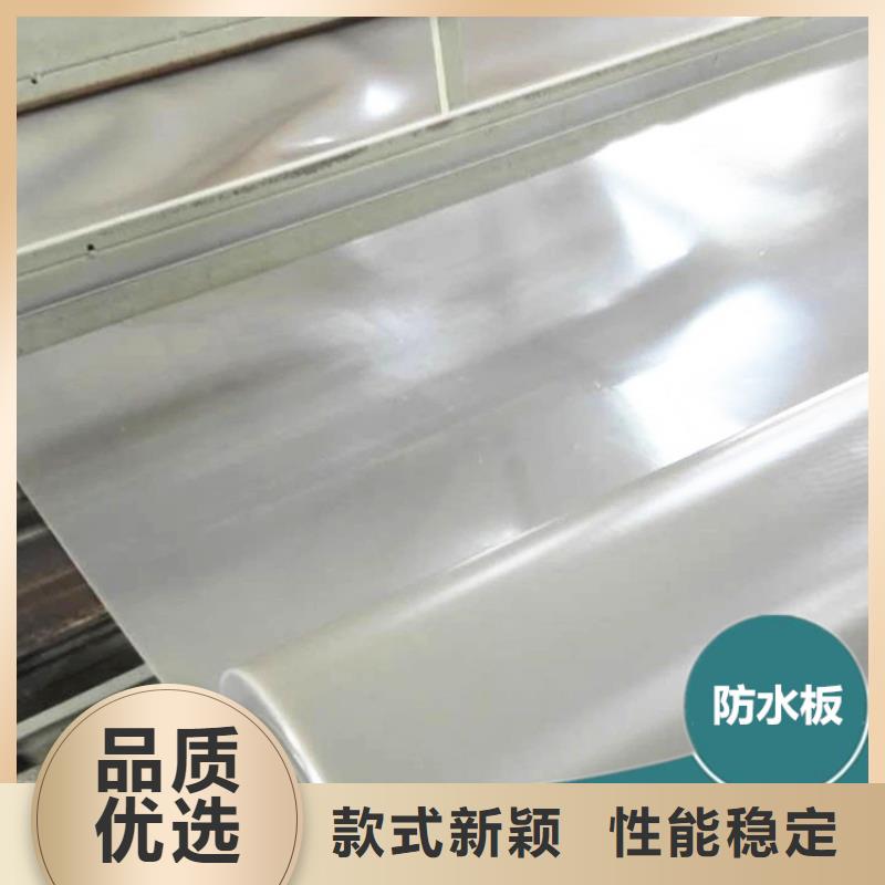 防水板,防渗膜实体诚信厂家