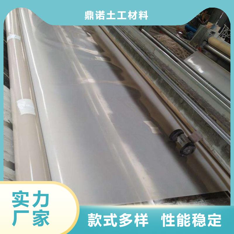 【防水板土工格栅专注细节使用放心】
