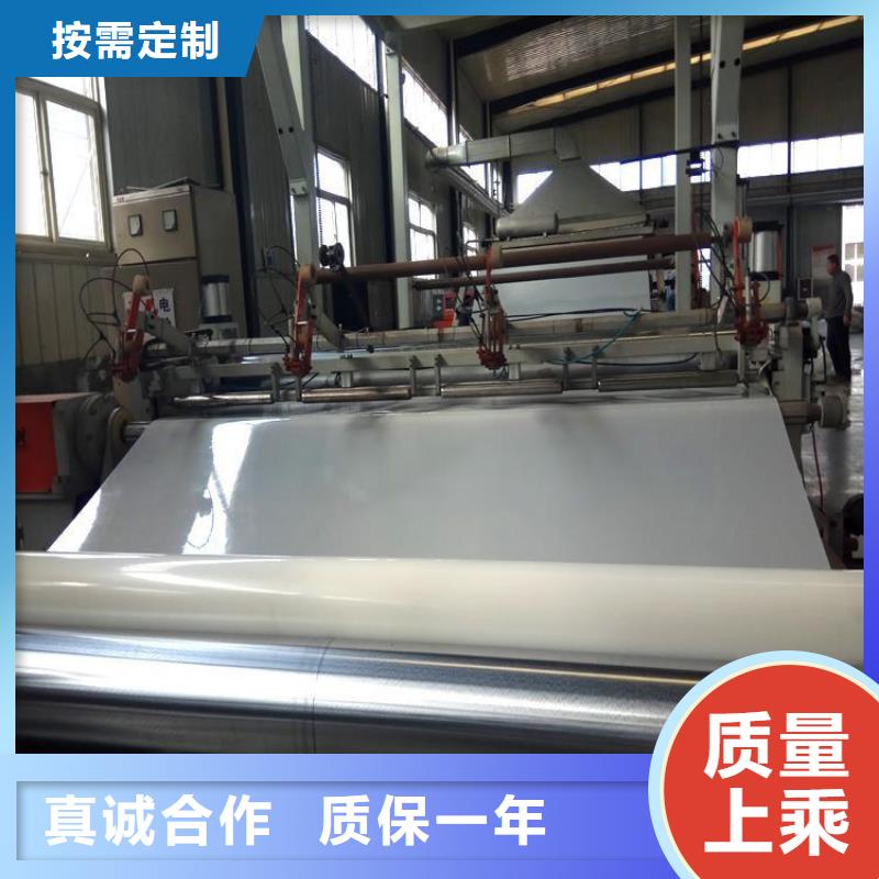 【防水板土工格栅专注细节使用放心】