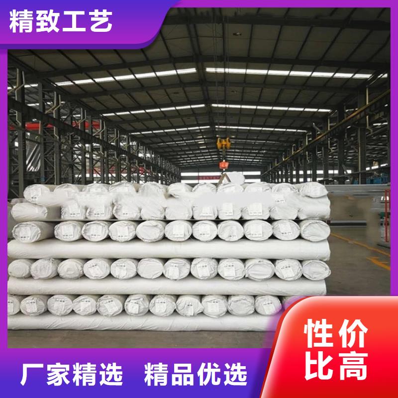 防水板,三维植被网实体诚信经营