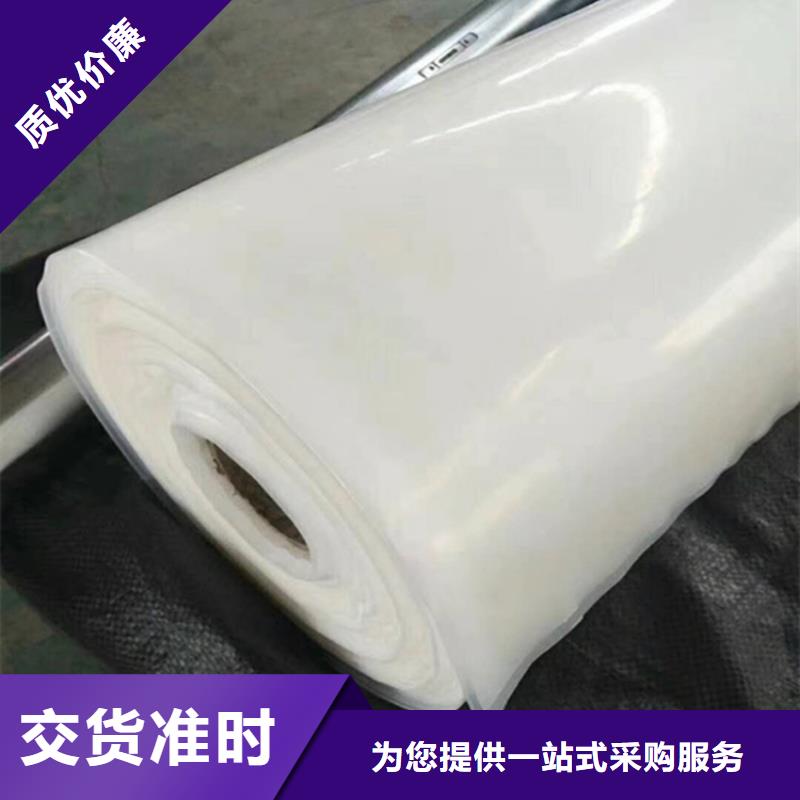 防水板膨润土防水毯产地货源