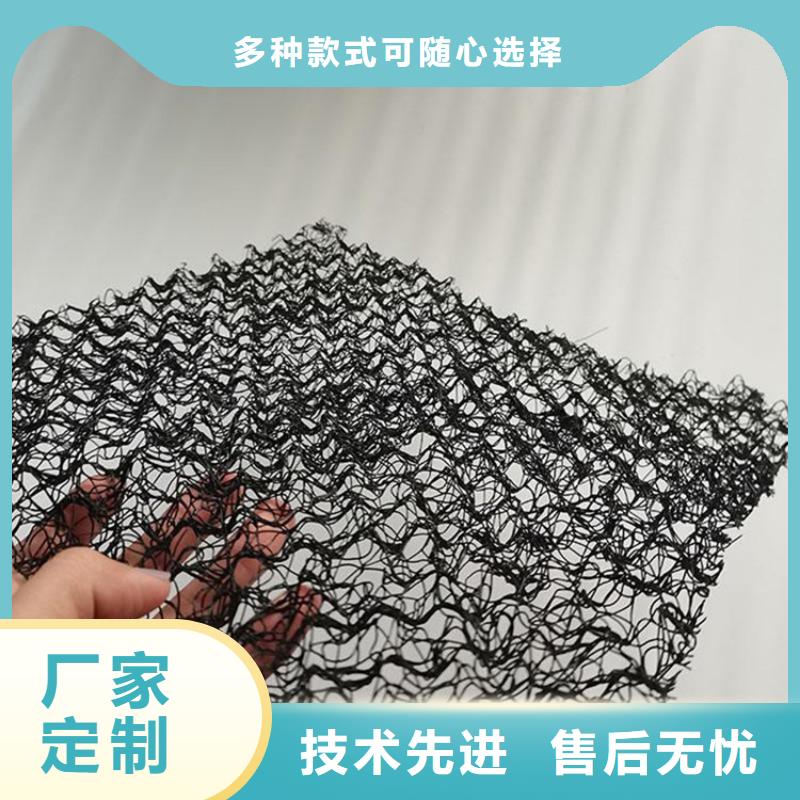 水土保护毯网格布认准大品牌厂家