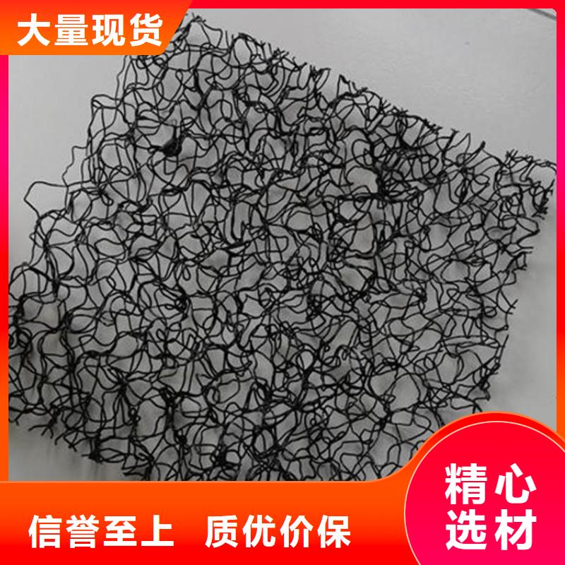 水土保护毯_无纺布有实力有经验