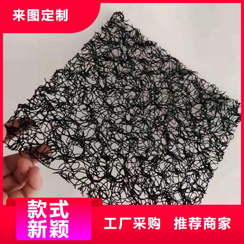 水土保护毯,土工格栅重信誉厂家