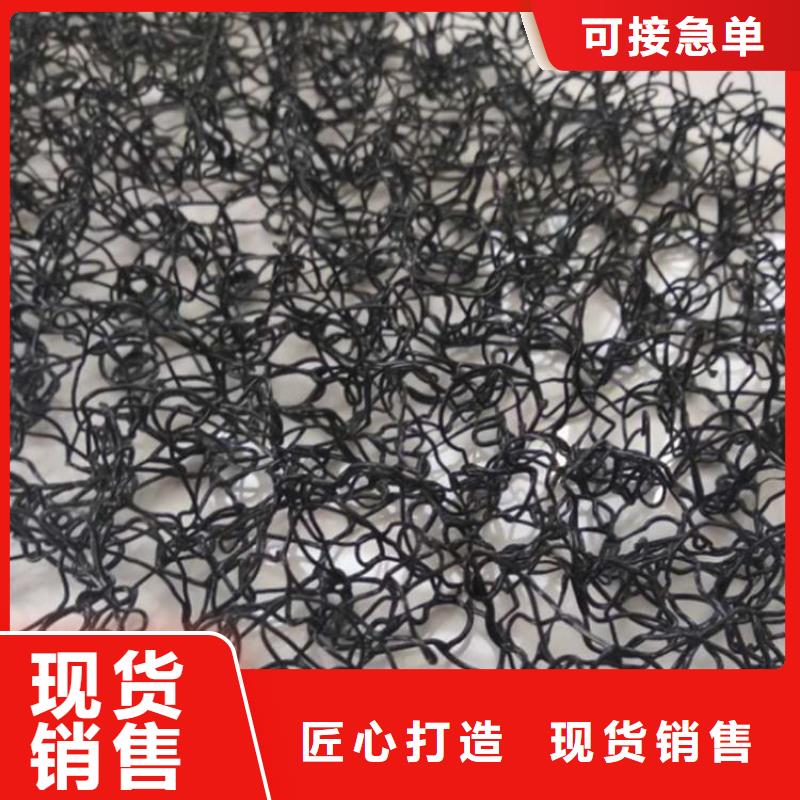 水土保护毯_无纺布有实力有经验