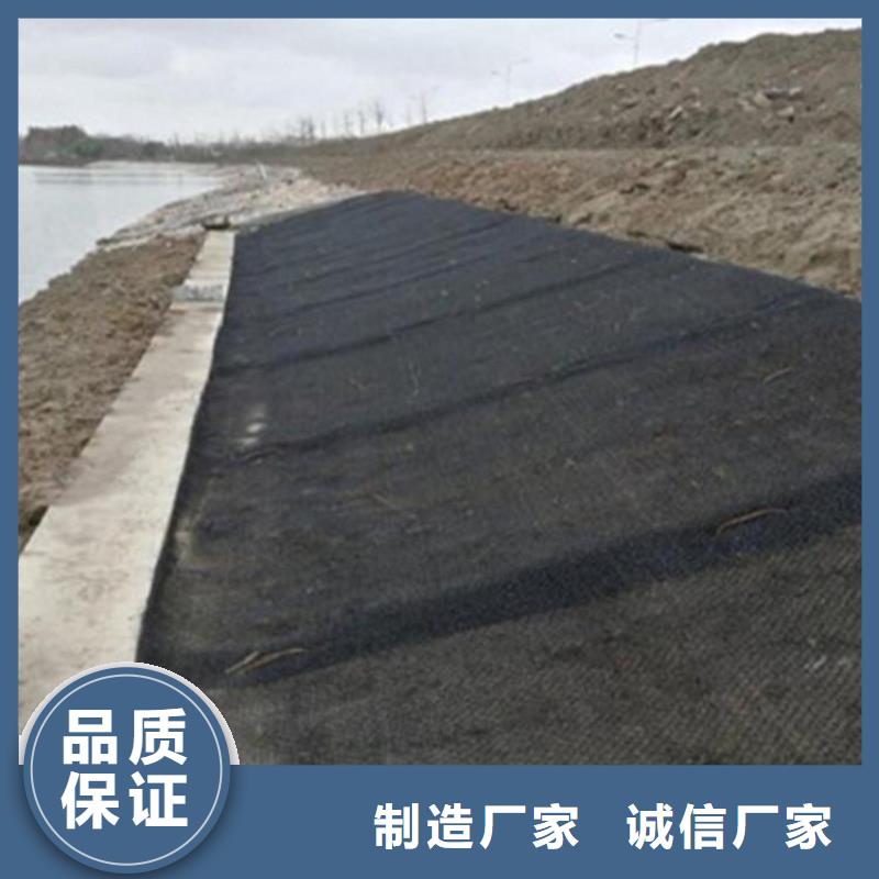 水土保护毯【玻纤格栅】好品质售后无忧