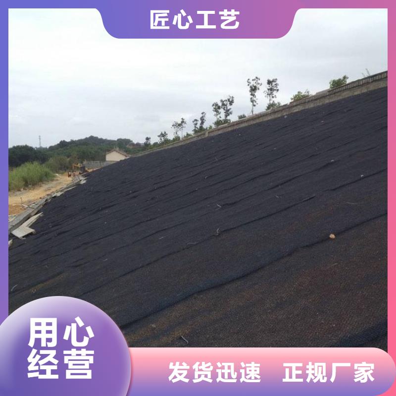水土保护毯-蓄水板专注细节更放心