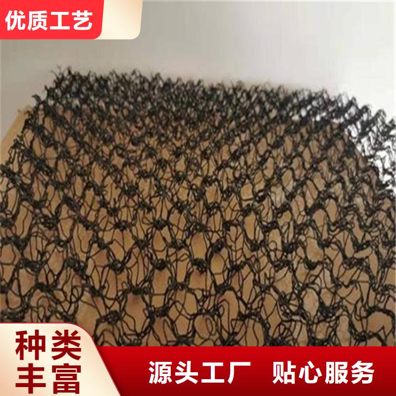【水土保护毯】-土工格栅产地采购
