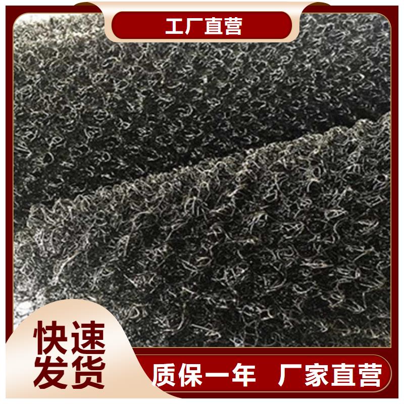 水土保护毯网格布认准大品牌厂家