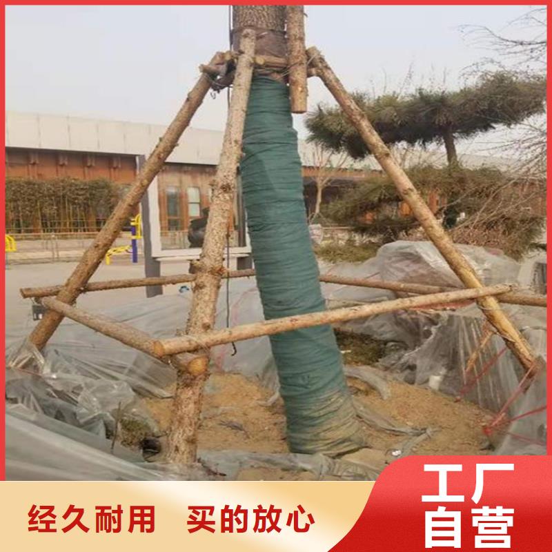 裹树布通风降噪丝网精工细致打造