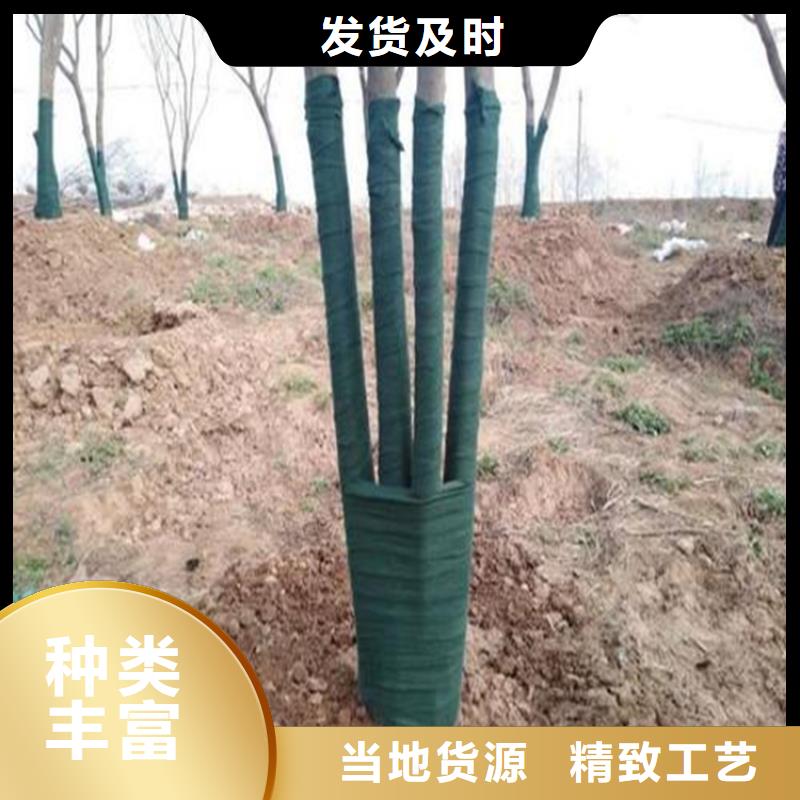 【裹树布】玻璃纤维土工格栅批发货源