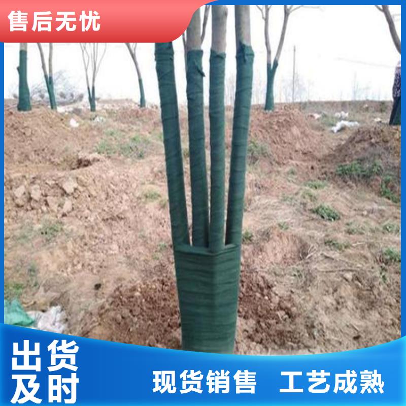 裹树布塑料格栅款式新颖