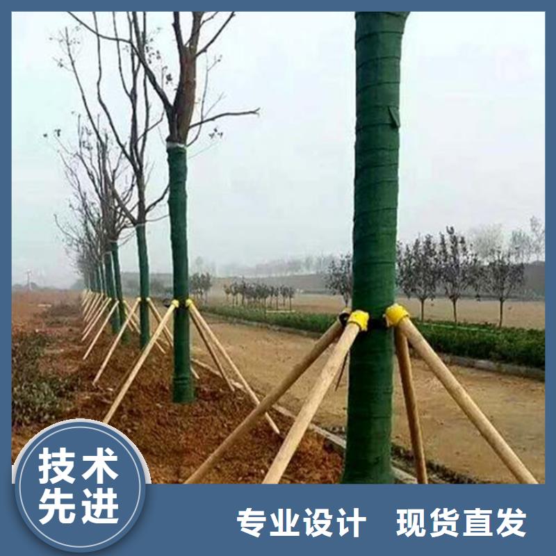 裹树布-拉筋带质量优选
