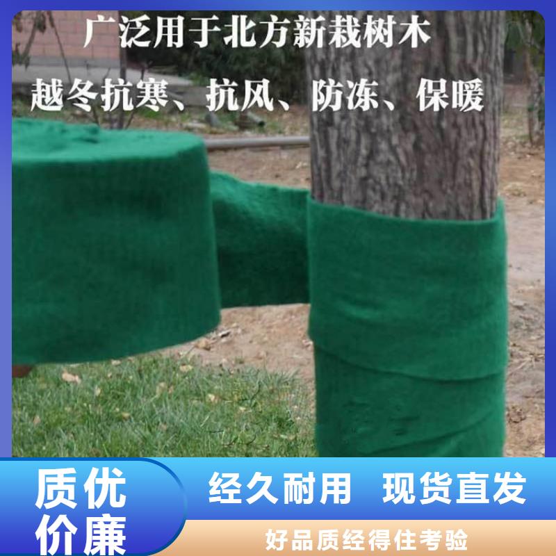 裹树布玻纤格栅适用场景