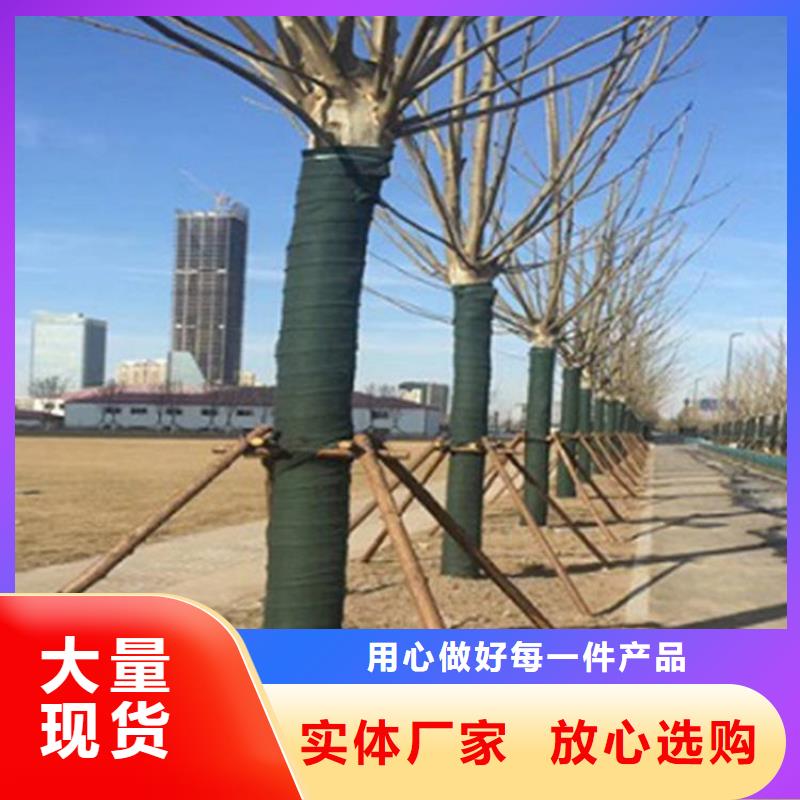 裹树布-网格布出厂价