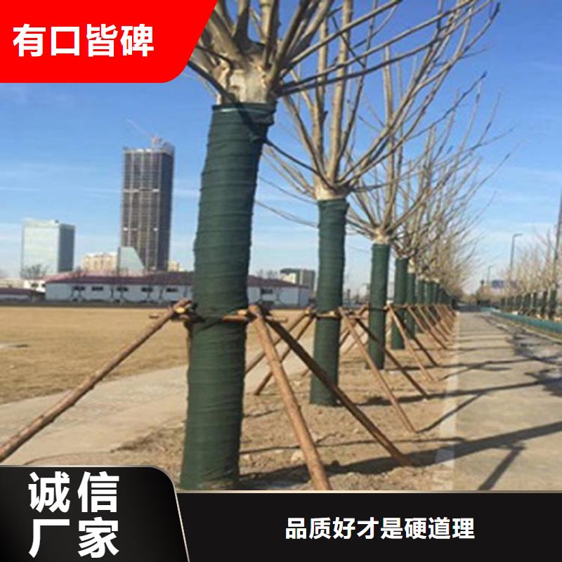 裹树布玻纤格栅适用场景