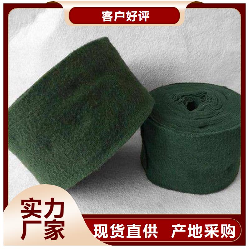 裹树布复合膜厂家直营