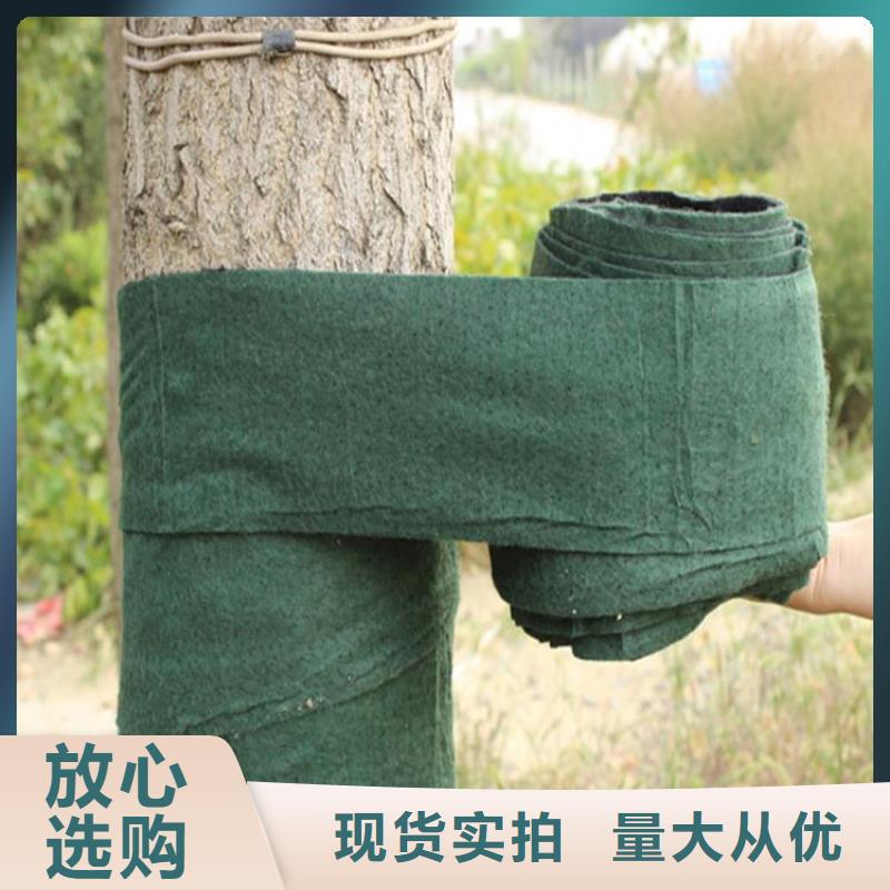 裹树布无纺布主推产品