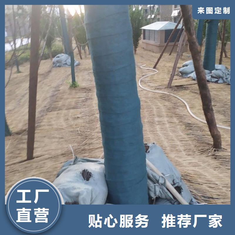 裹树布-HDPE土工膜供应采购