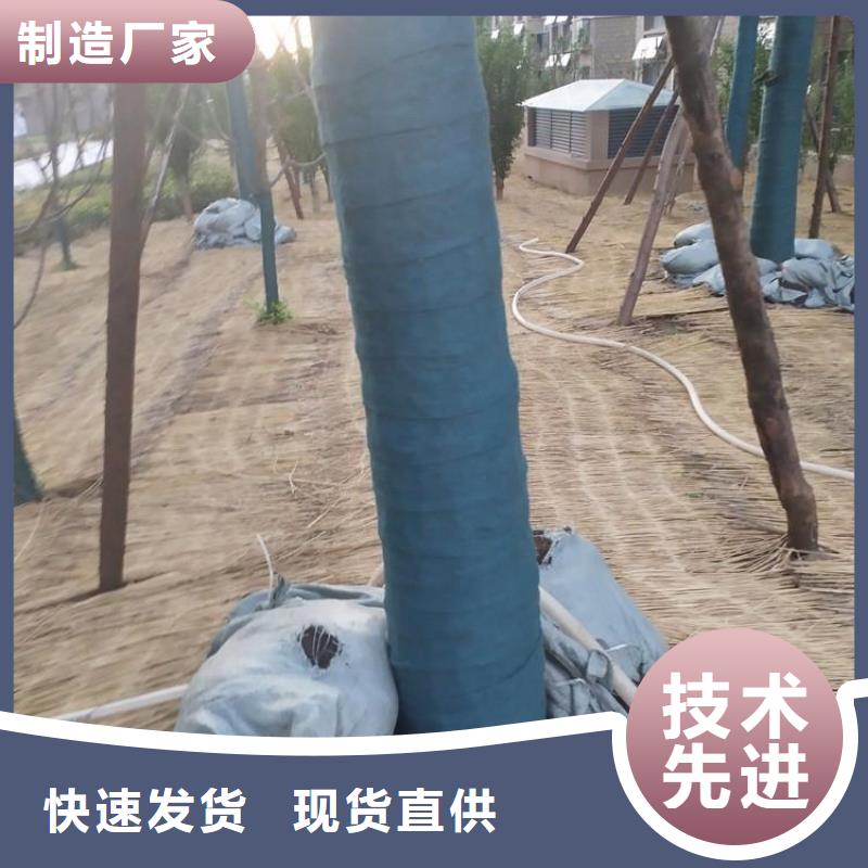 裹树布橡胶支座您身边的厂家