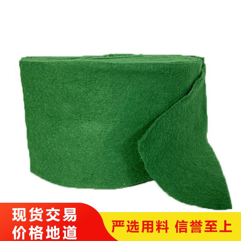 裹树布-网格布出厂价