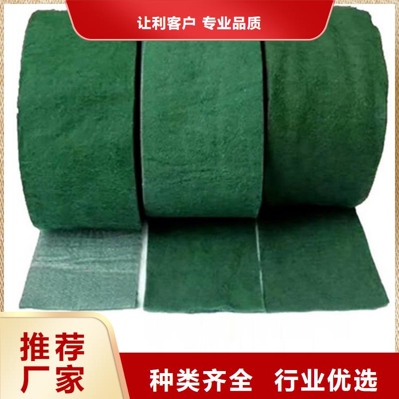 裹树布塑料土工格栅精工打造