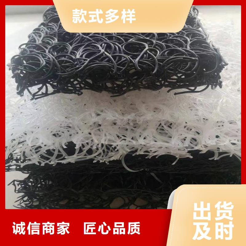 土工席垫,塑料土工格栅好品质经得住考验