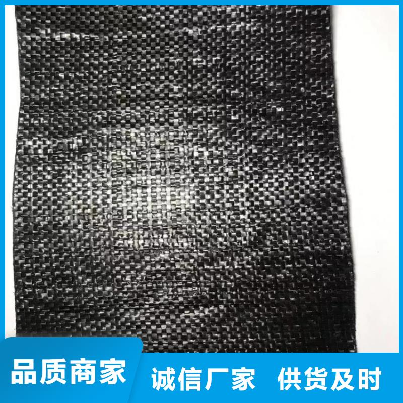 防裂贴【钢塑格栅】匠心打造