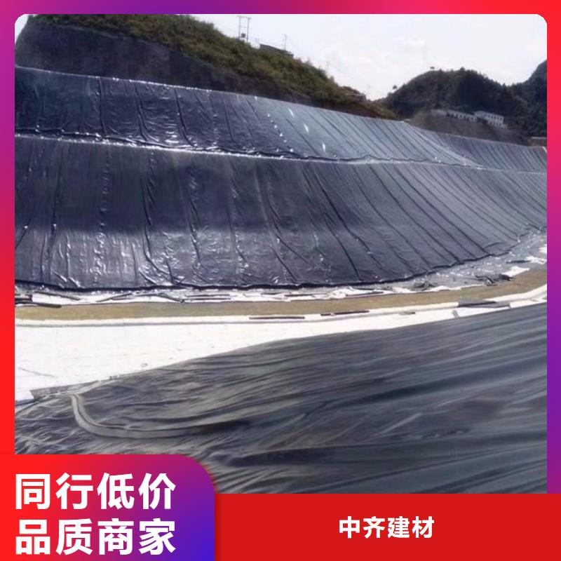 【土工膜土工布满足您多种采购需求】