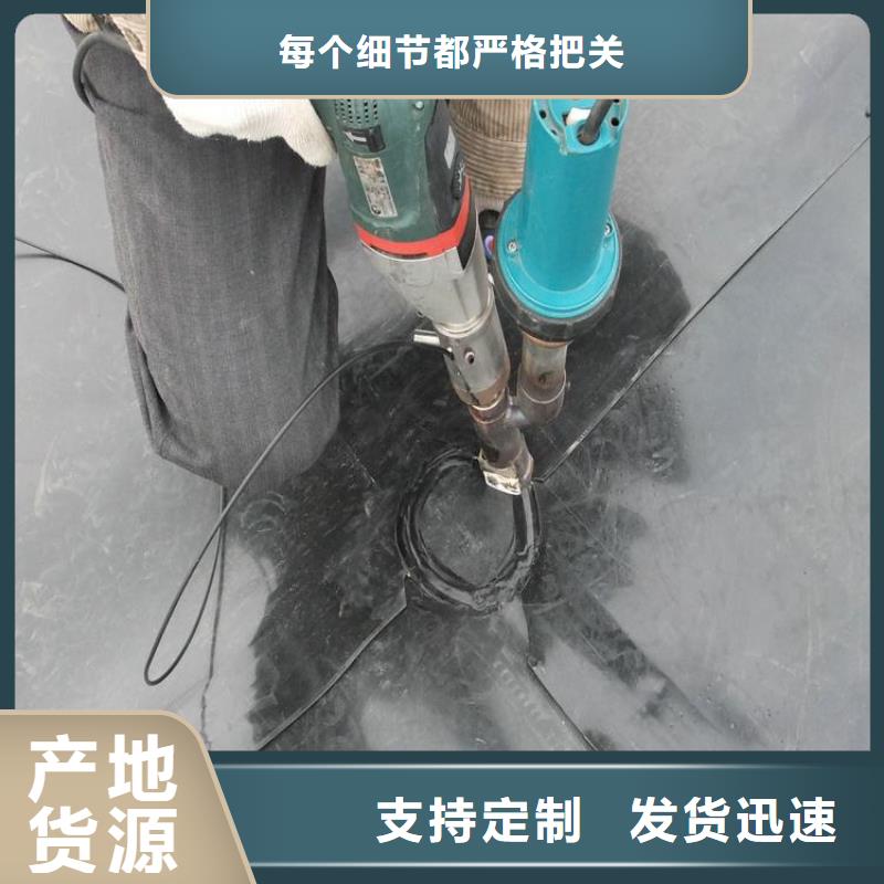 土工膜钢塑土工格栅现货批发